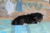 casiphiatyttn09232430_small.jpg