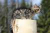img_9940_small.jpg