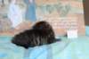 charilytyttn232425_small.jpg