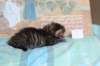 charilytyttn232426_small.jpg