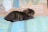 charilytyttn232442_small.jpg