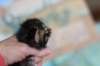 chesiltyttn09222421_small.jpg