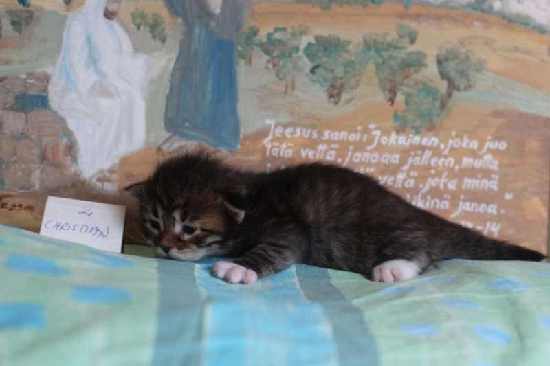 christianpoikan0923241.jpg
