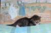 christianpoikan09232411_small.jpg