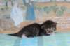 christianpoikan09232412_small.jpg