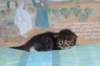 christianpoikan09232413_small.jpg