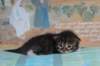christianpoikan09232414_small.jpg
