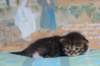 christianpoikan09232415_small.jpg