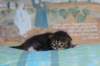 christianpoikan09232416_small.jpg