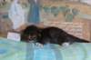 christianpoikan0923241_small.jpg