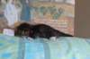 christianpoikan0923242_small.jpg