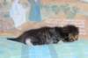 christianpoikan0923245_small.jpg