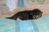 christianpoikan0923247_small.jpg