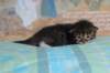 christianpoikan0923248_small.jpg