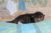 christianpoikan0923249_small.jpg