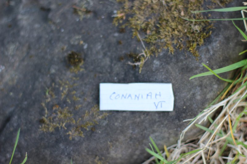 conaniah12viikkoa363.jpg