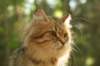 img_2579_small.jpg
