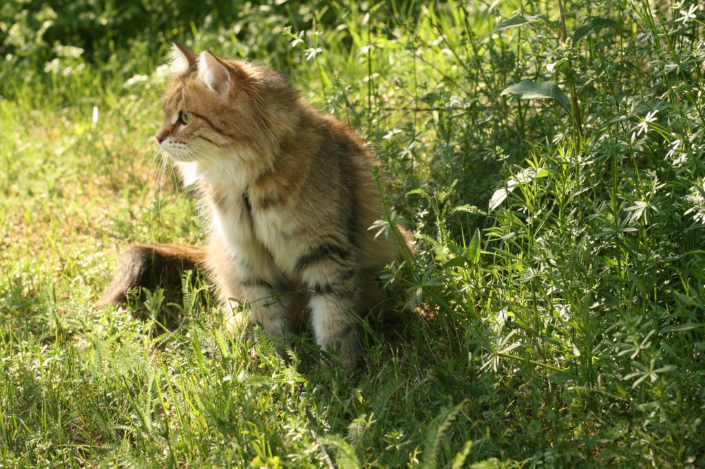 img_2615.jpg