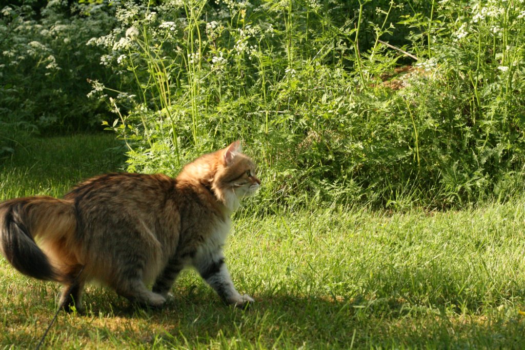 img_2652.jpg