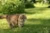 img_2661_small.jpg