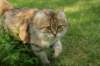 img_2664_small.jpg