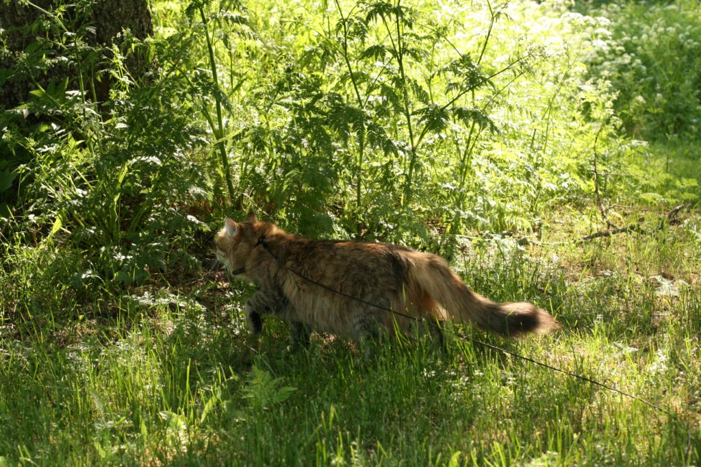 img_2684.jpg