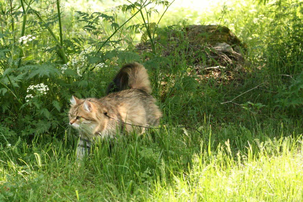img_2686.jpg