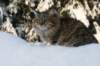 img_9310_small.jpg