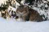img_9313_small.jpg