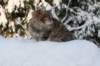 img_9318_small.jpg