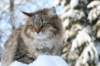img_9358_small.jpg