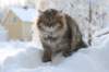 img_9380_small.jpg