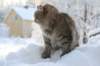 img_9381_small.jpg