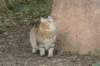 carupitaandstackanthill11_small.jpg