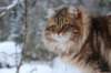 img_5038_small.jpg