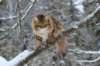 img_5050_small.jpg