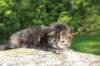 danaf24158202646_small.jpg