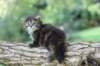 danaf244viikkoa288202614_small.jpg