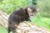 danaf244viikkoa28820265_small.jpg