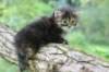 danaf244viikkoa28820268_small.jpg