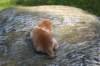 debird04241582026100_small.jpg