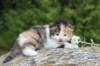 deborahf0323168202610_small.jpg
