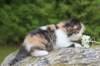 deborahf0323168202612_small.jpg