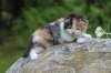 deborahf0323168202622_small.jpg