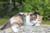 deborahf032316820262_small.jpg