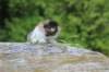 deborahf0323168202634_small.jpg