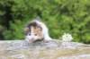 deborahf0323168202640_small.jpg