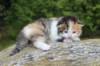 deborahf032316820266_small.jpg