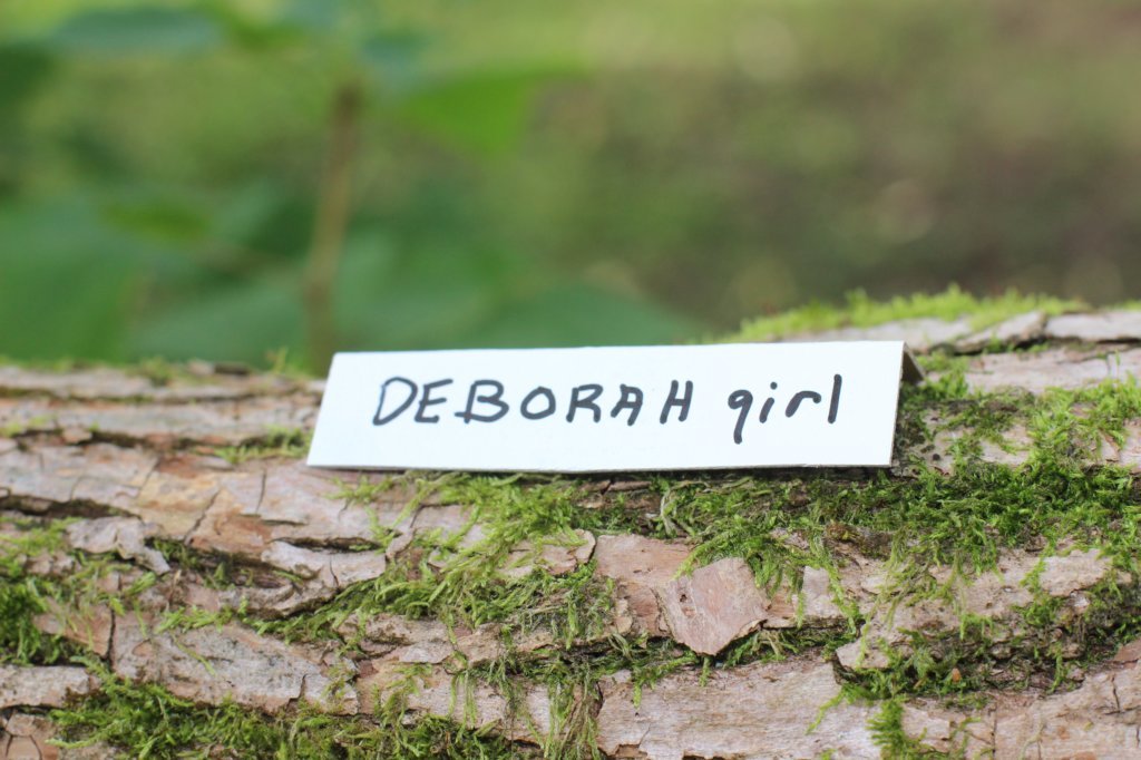 deborahf03244viikkoa28820281.jpg