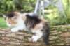 deborahf03244viikkoa288202815_small.jpg